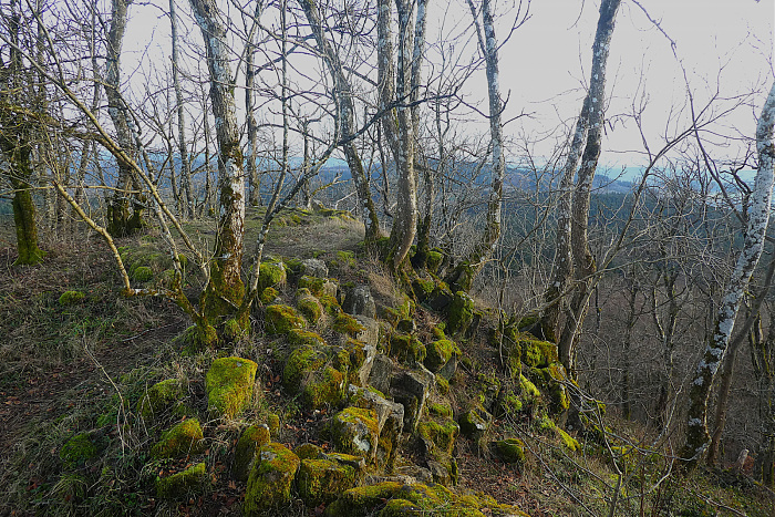 Klicke auf die Grafik für eine vergrößerte Ansicht

Name: 14.jpg
Ansichten: 34
Größe: 1,40 MB
ID: 3362239