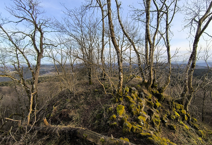 Klicke auf die Grafik für eine vergrößerte Ansicht

Name: 15.jpg
Ansichten: 34
Größe: 1,33 MB
ID: 3362240