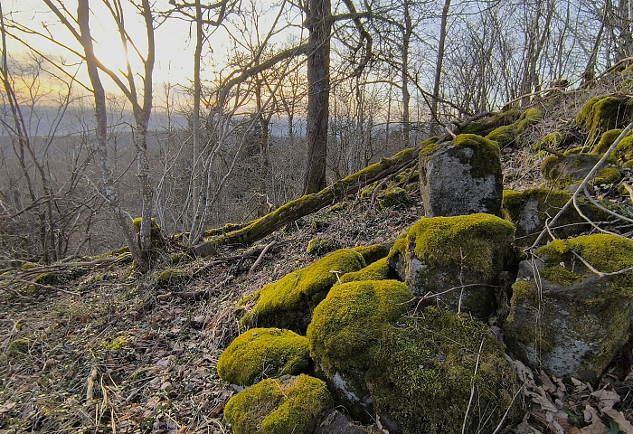 Klicke auf die Grafik für eine vergrößerte Ansicht

Name: 16.jpg
Ansichten: 34
Größe: 1,31 MB
ID: 3362241