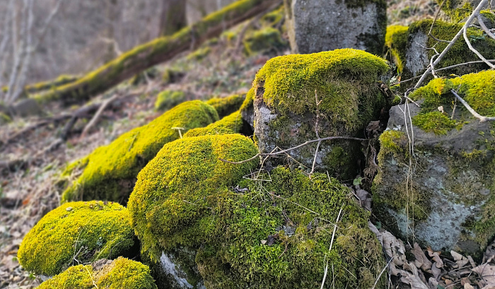 Klicke auf die Grafik für eine vergrößerte Ansicht

Name: 17.jpg
Ansichten: 34
Größe: 862,2 KB
ID: 3362242