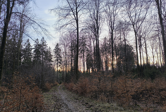 Klicke auf die Grafik für eine vergrößerte Ansicht

Name: 21.jpg
Ansichten: 34
Größe: 1,40 MB
ID: 3362246