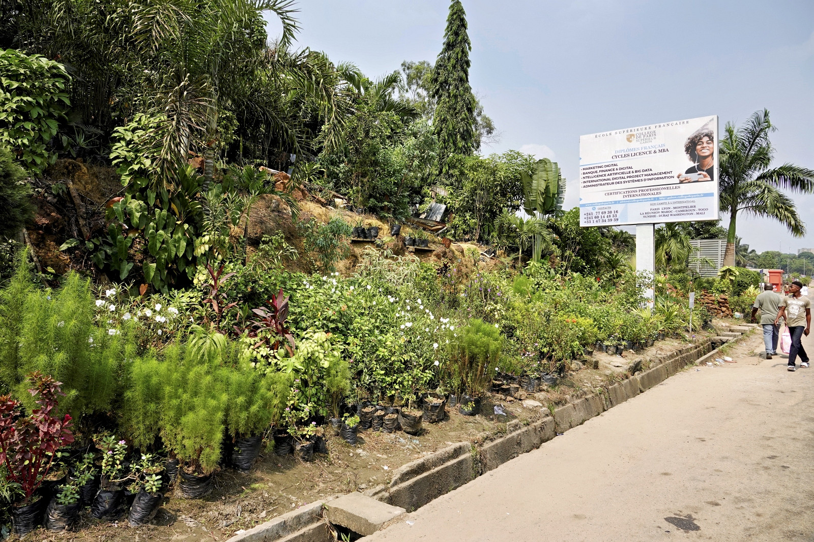 Klicke auf die Grafik für eine vergrößerte Ansicht

Name: _SNY0519R.jpg
Ansichten: 54
Größe: 948,6 KB
ID: 3362349