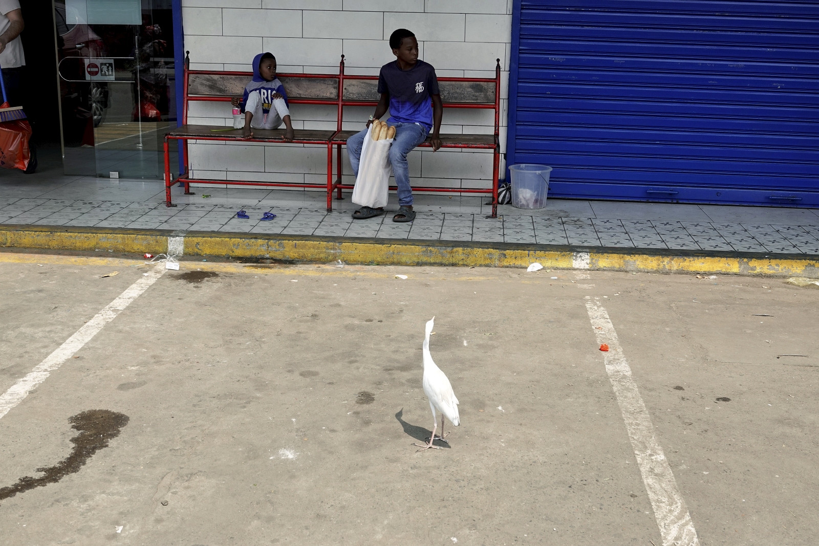 Klicke auf die Grafik für eine vergrößerte Ansicht

Name: _SNY0472R.jpg
Ansichten: 55
Größe: 522,2 KB
ID: 3362353