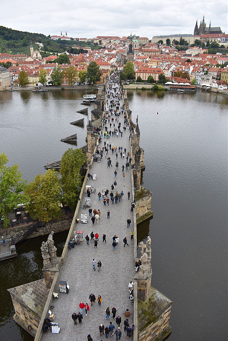 Klicke auf die Grafik für eine vergrößerte Ansicht

Name: DSC_0987.jpg
Ansichten: 38
Größe: 637,3 KB
ID: 3362444