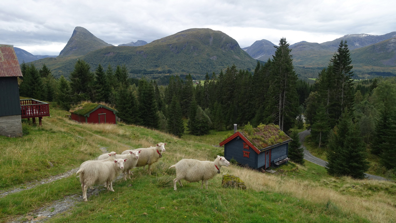 Klicke auf die Grafik für eine vergrößerte Ansicht  Name: 2025 Norge 0781.jpg Ansichten: 0 Größe: 677,2 KB ID: 3362522