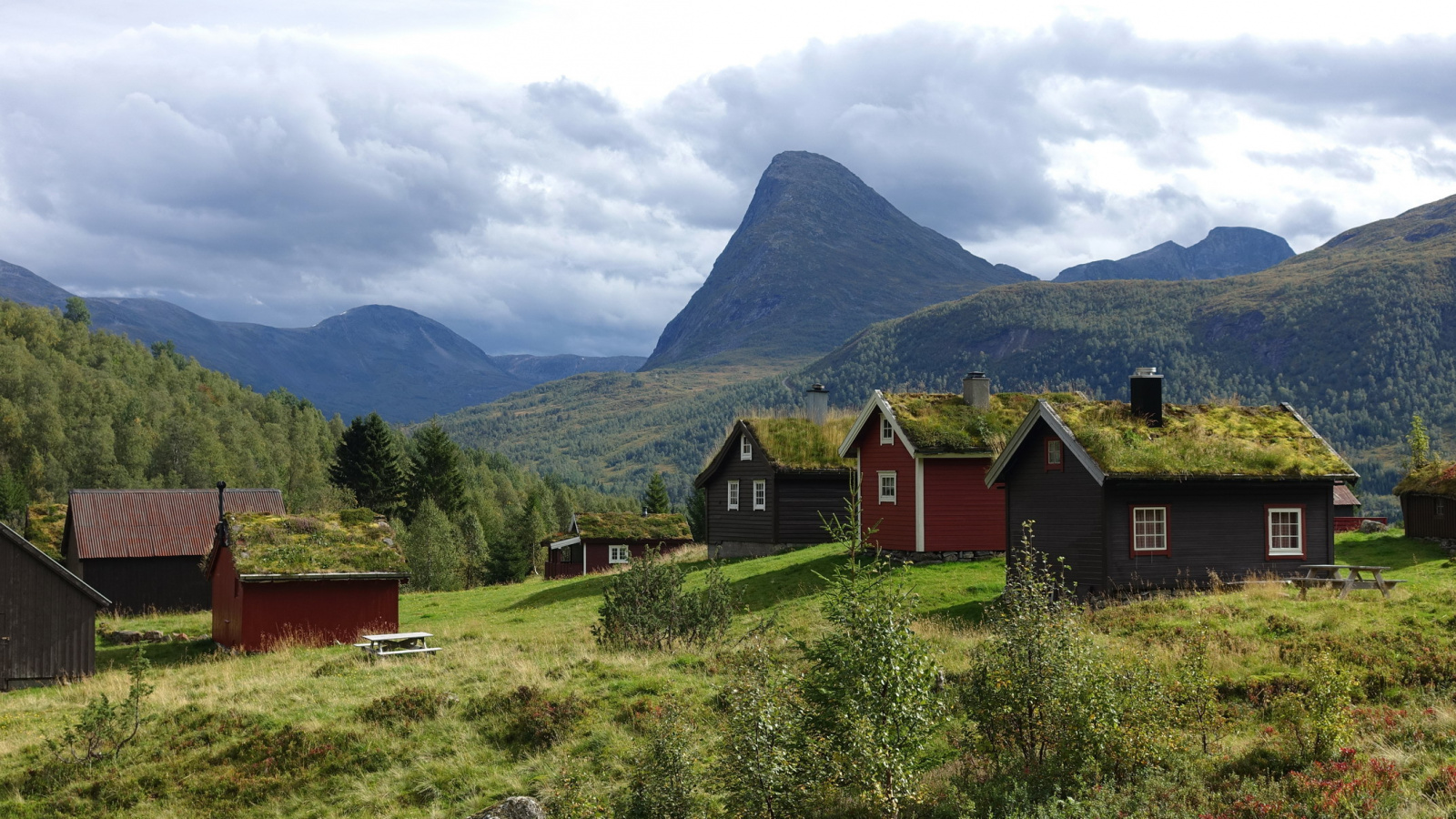 Klicke auf die Grafik für eine vergrößerte Ansicht  Name: 2025 Norge 0777.jpg Ansichten: 0 Größe: 702,5 KB ID: 3362524