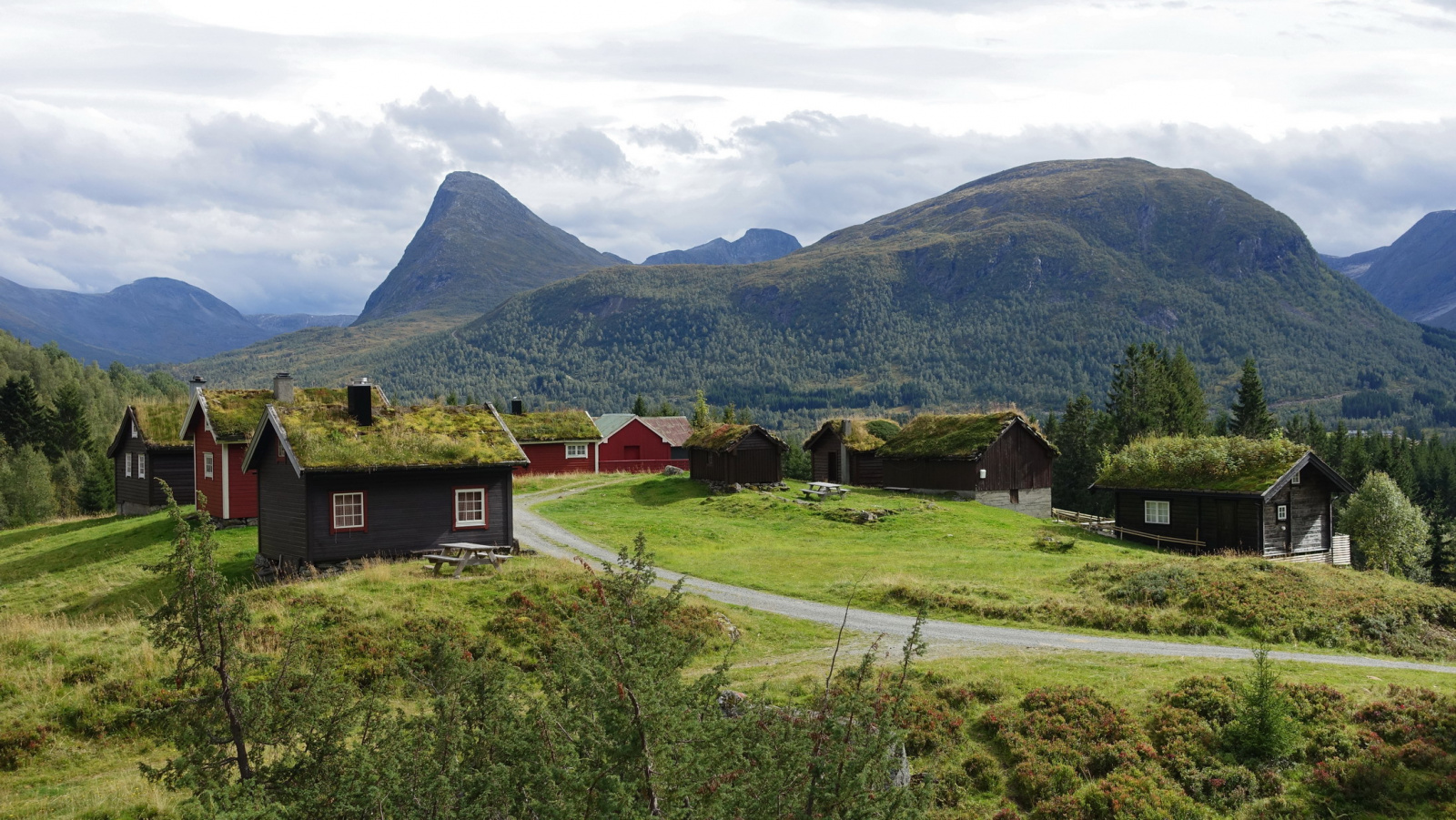 Klicke auf die Grafik für eine vergrößerte Ansicht  Name: 2025 Norge 0778.jpg Ansichten: 0 Größe: 732,6 KB ID: 3362527