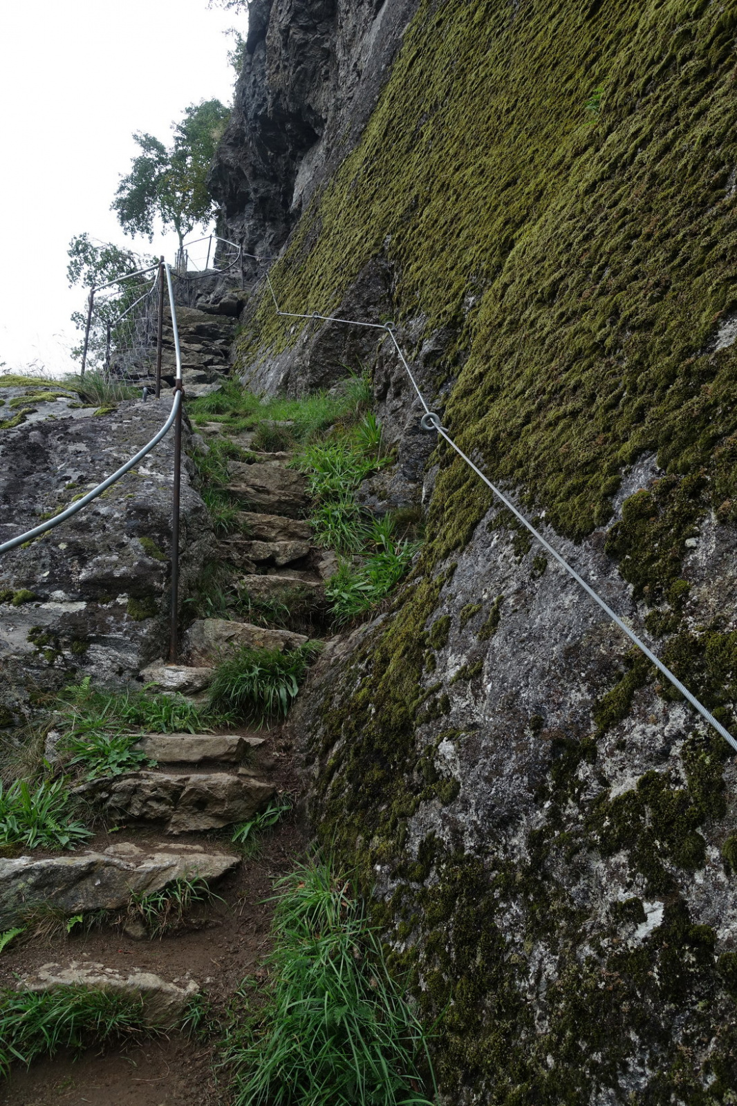 Klicke auf die Grafik für eine vergrößerte Ansicht  Name: 2025 Norge 0831.jpg Ansichten: 0 Größe: 1,10 MB ID: 3362575