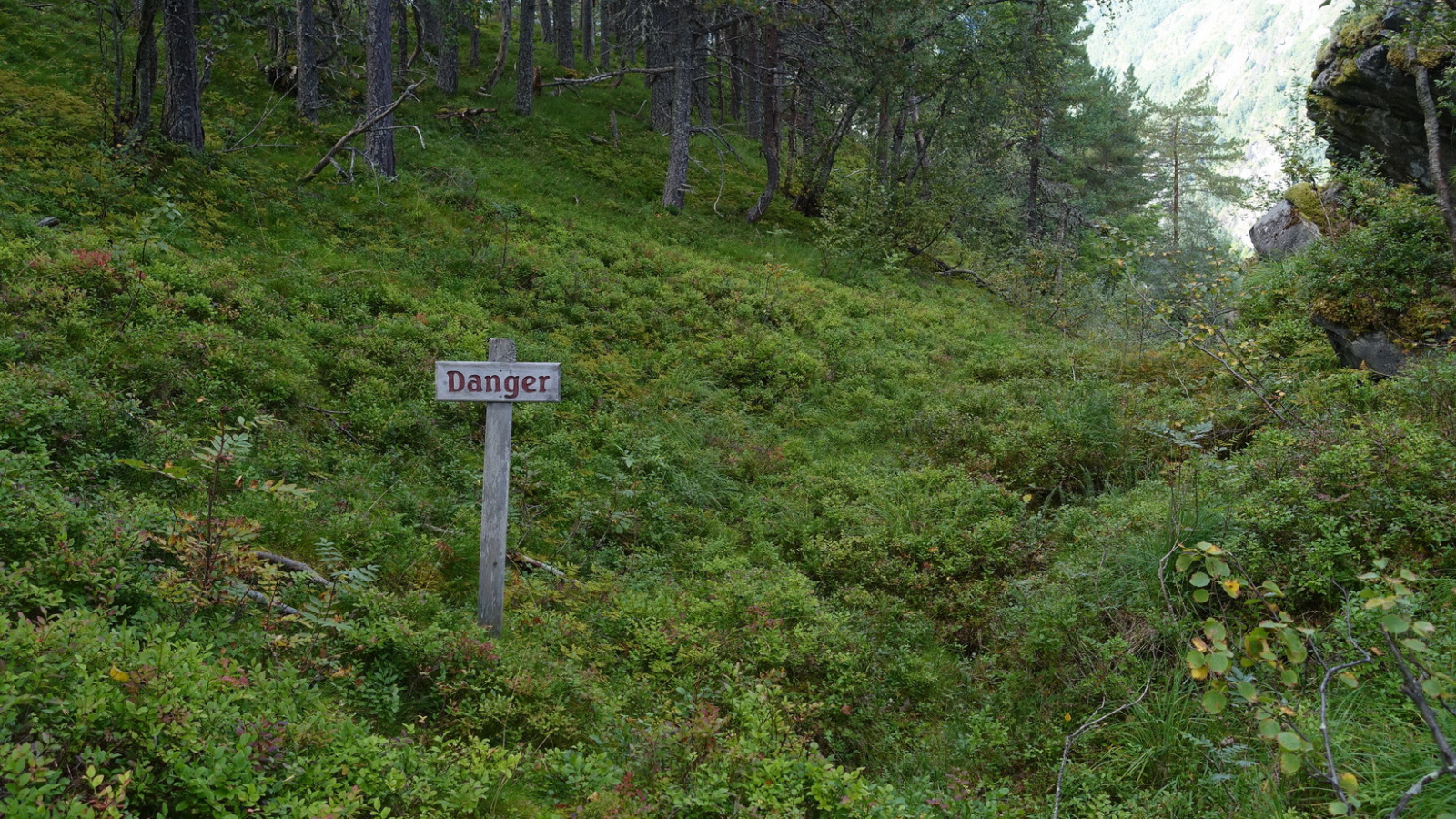 Klicke auf die Grafik für eine vergrößerte Ansicht

Name: 2025 Norge 0859.jpg
Ansichten: 116
Größe: 1,02 MB
ID: 3362603