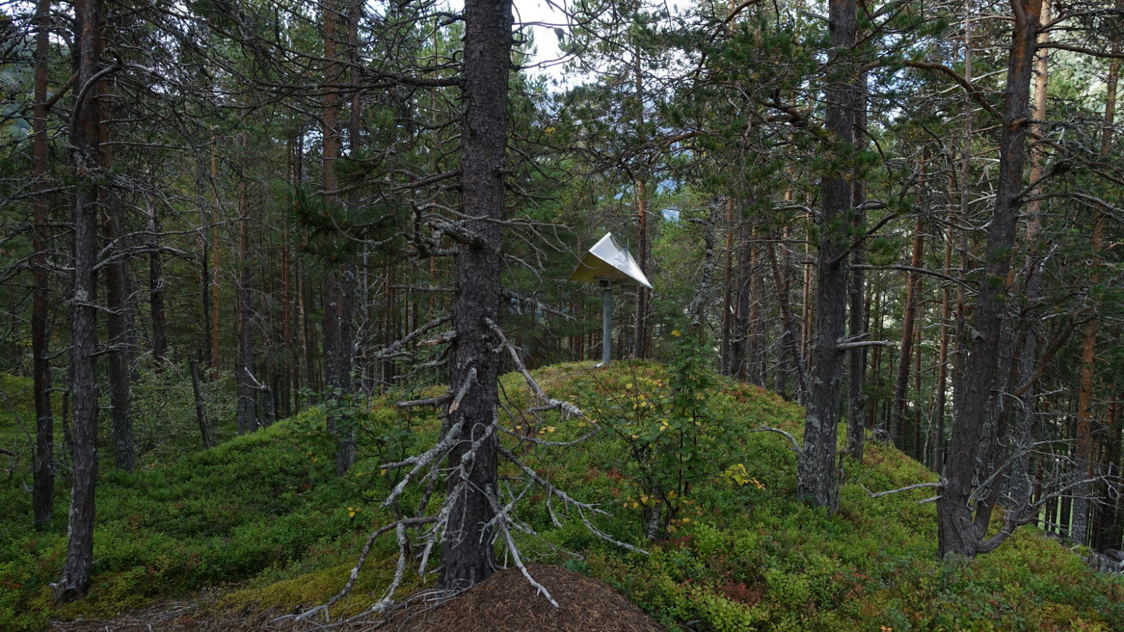 Klicke auf die Grafik für eine vergrößerte Ansicht

Name: 2025 Norge 0861.jpg
Ansichten: 115
Größe: 978,8 KB
ID: 3362604