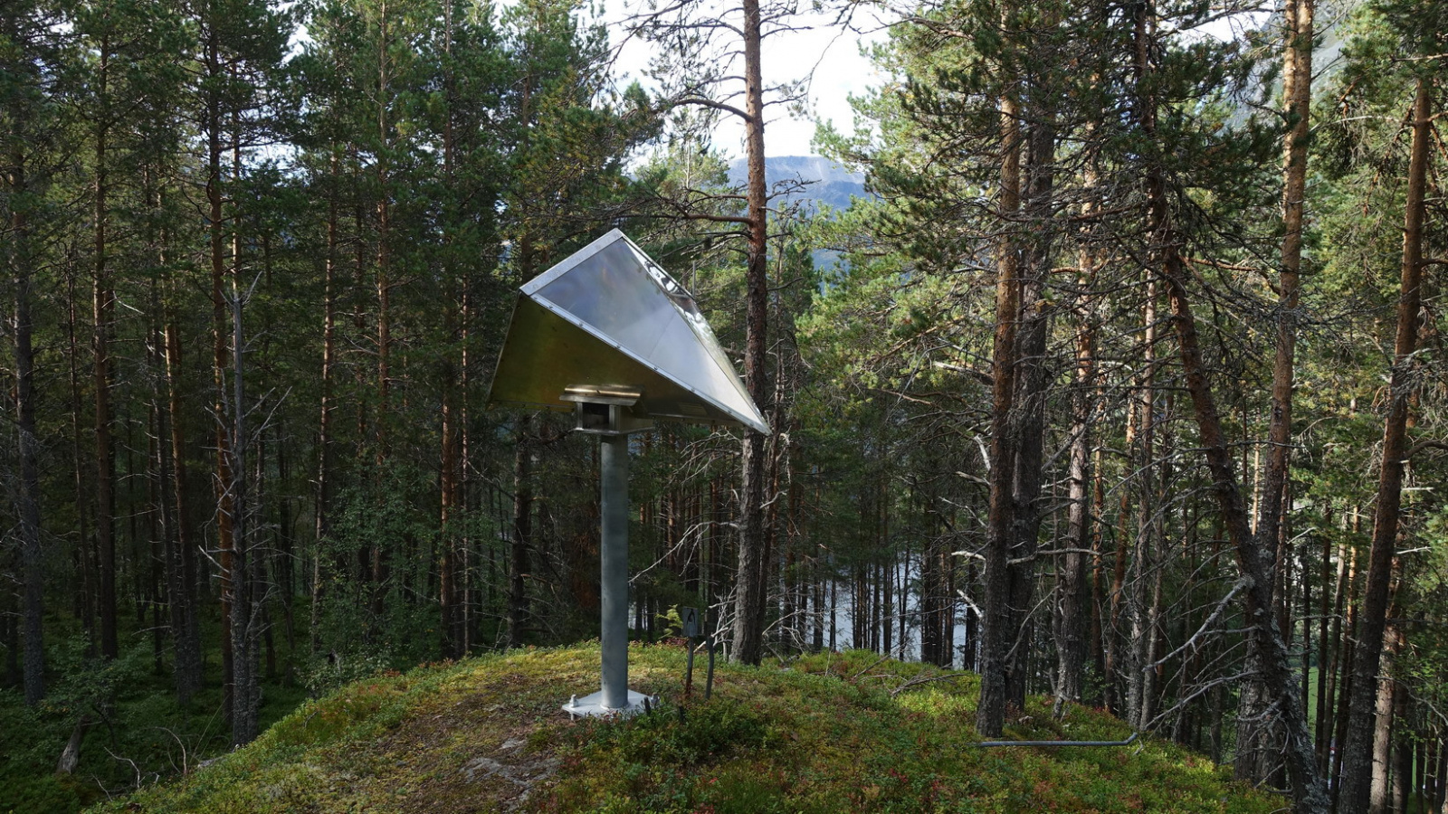 Klicke auf die Grafik für eine vergrößerte Ansicht

Name: 2025 Norge 0862.jpg
Ansichten: 117
Größe: 961,4 KB
ID: 3362607