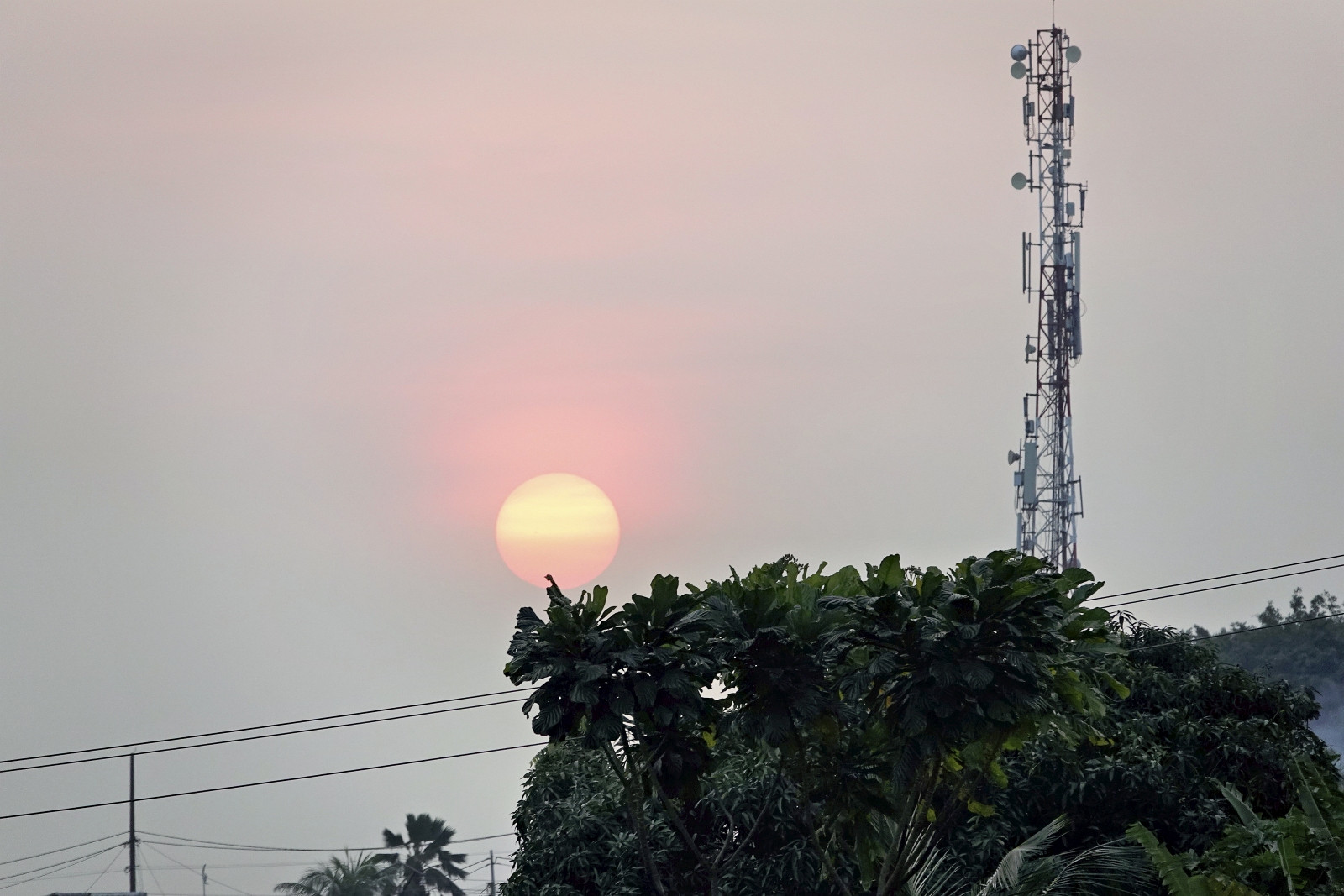 Klicke auf die Grafik für eine vergrößerte Ansicht  Name: _SNY0533R.jpg Ansichten: 0 Größe: 298,9 KB ID: 3362642