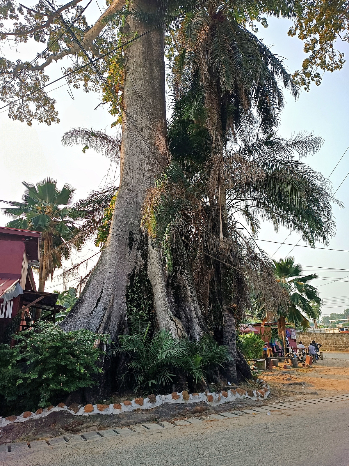 Klicke auf die Grafik für eine vergrößerte Ansicht  Name: IMG_20240630_165905_689R.jpg Ansichten: 0 Größe: 1,04 MB ID: 3362651