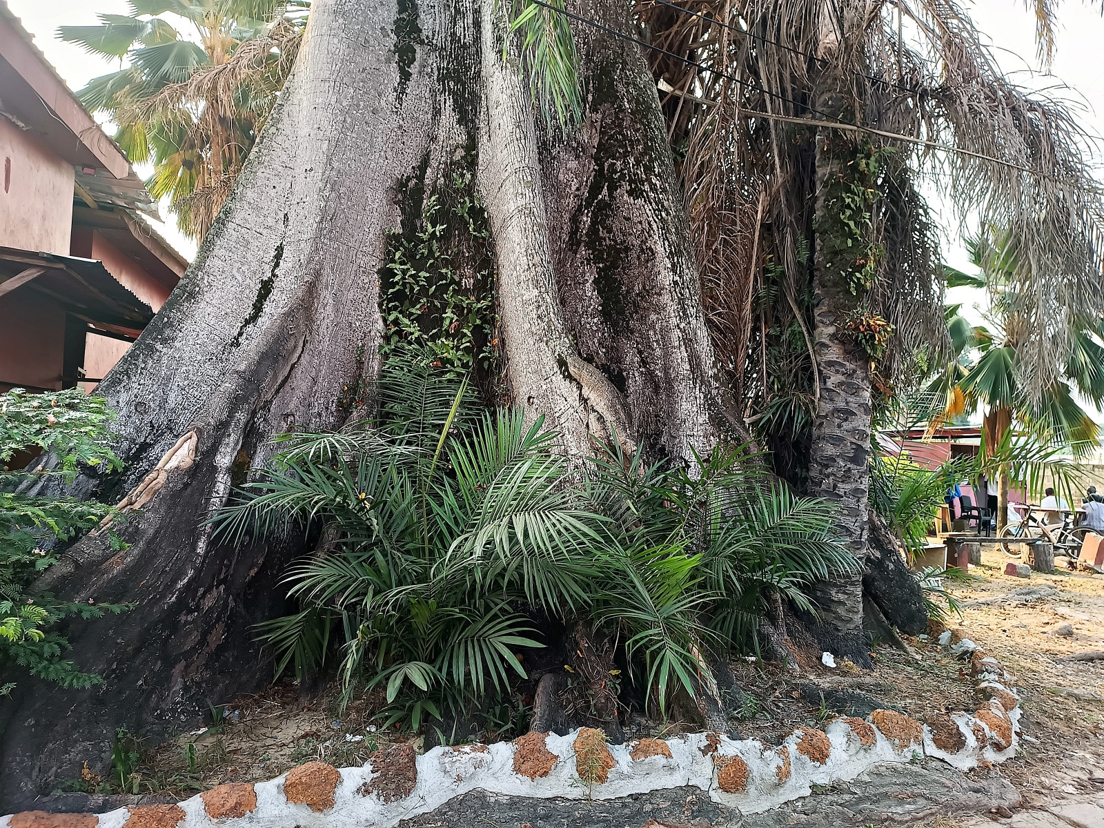 Klicke auf die Grafik für eine vergrößerte Ansicht  Name: IMG_20240630_165915_360R.jpg Ansichten: 0 Größe: 1,20 MB ID: 3362652