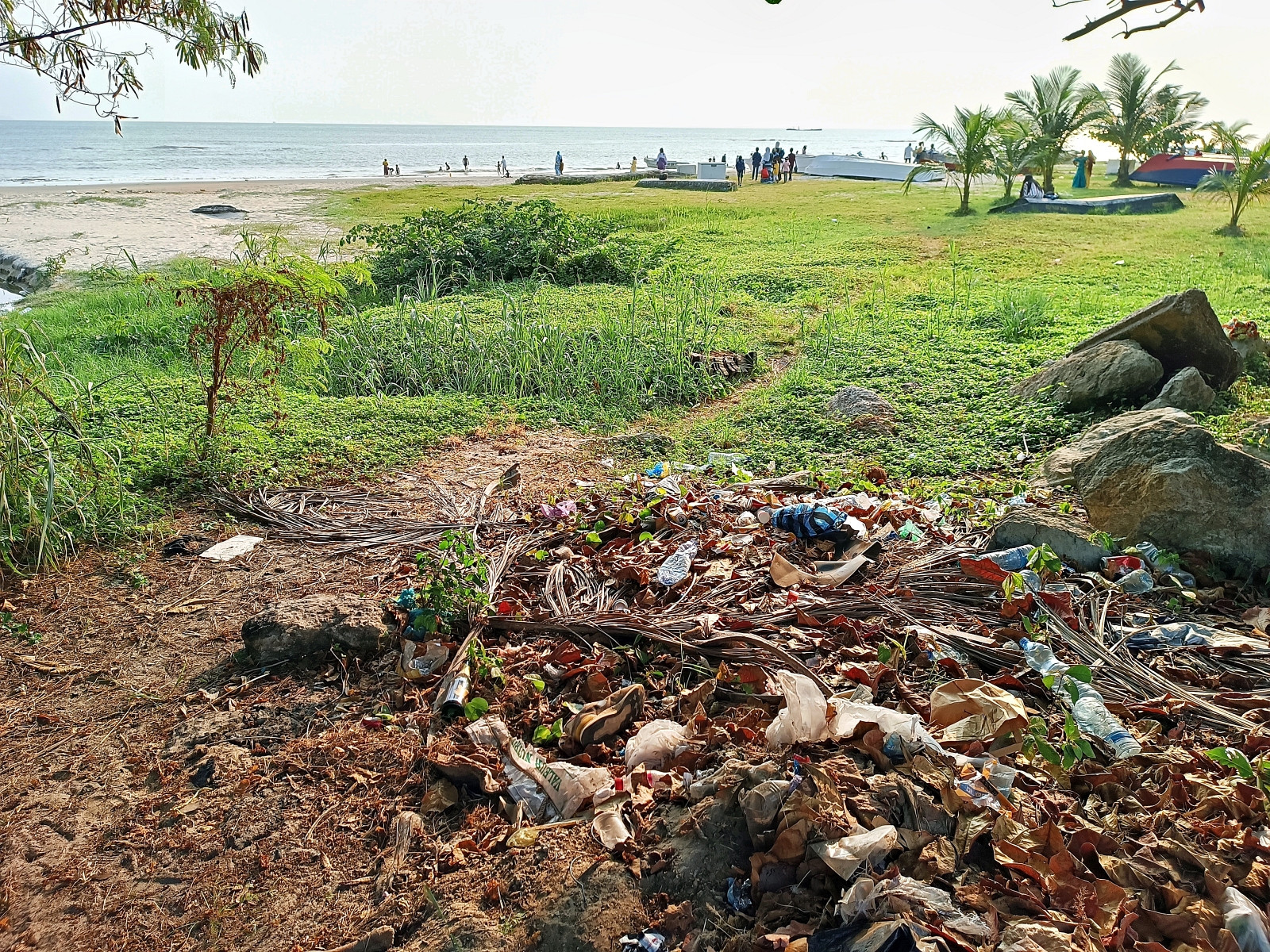 Klicke auf die Grafik für eine vergrößerte Ansicht  Name: IMG_20240630_164534_764R.jpg Ansichten: 0 Größe: 1,25 MB ID: 3362654