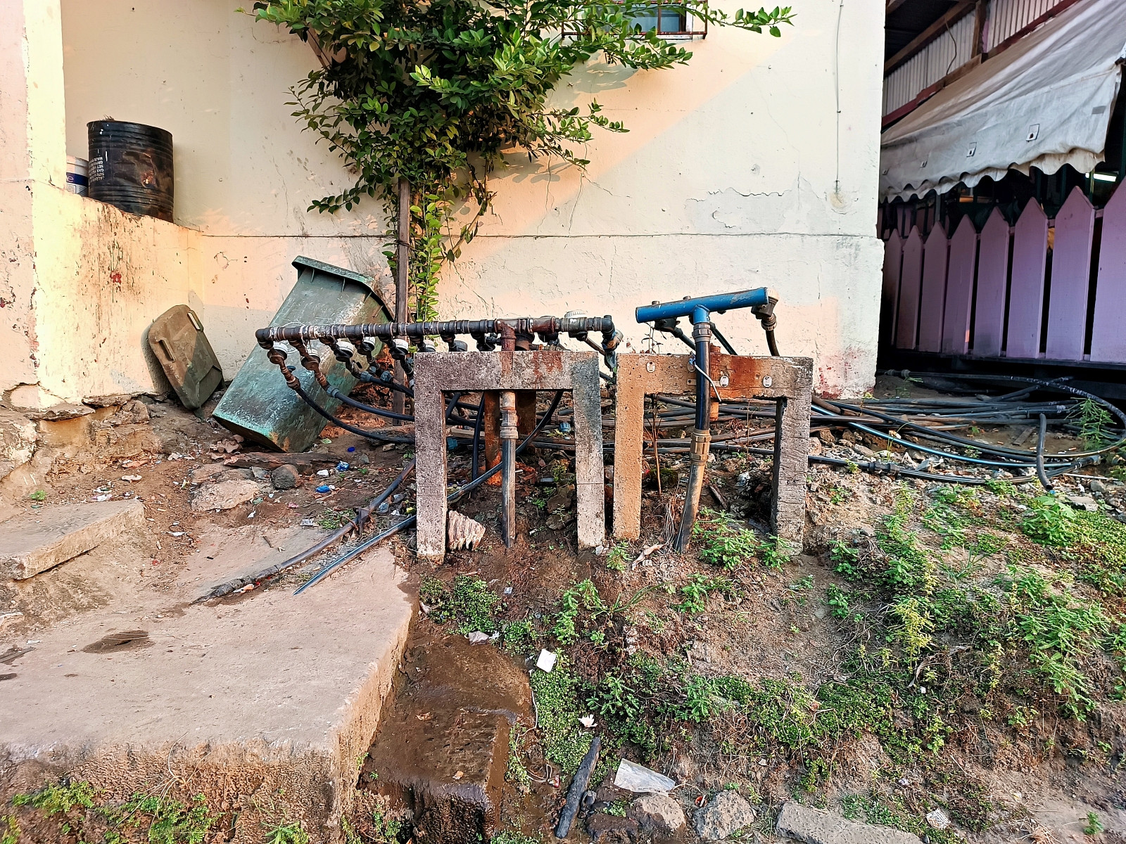 Klicke auf die Grafik für eine vergrößerte Ansicht  Name: IMG_20240630_174048_682R.jpg Ansichten: 0 Größe: 1,04 MB ID: 3362657