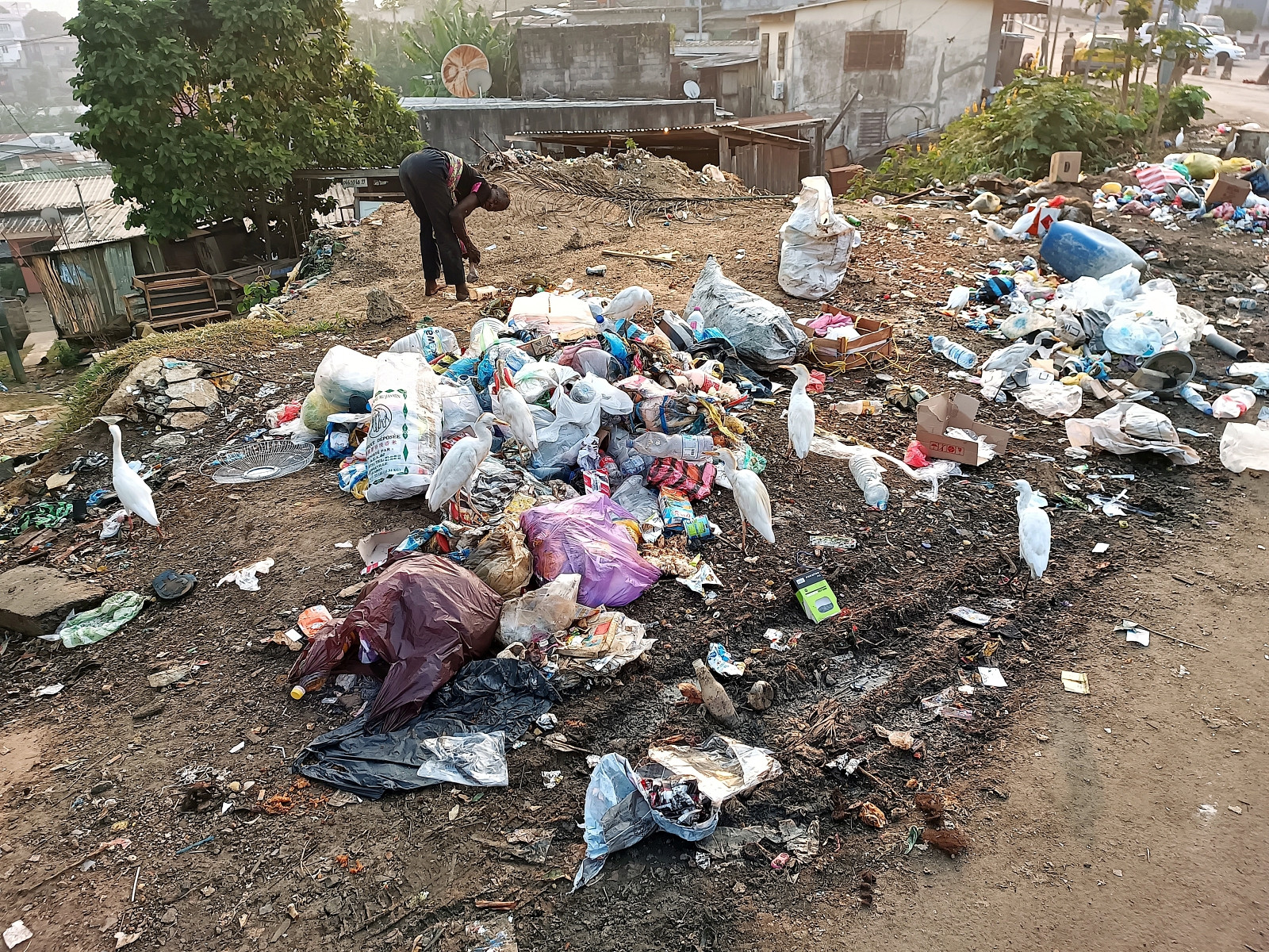 Klicke auf die Grafik für eine vergrößerte Ansicht  Name: IMG_20240630_173431_169R.jpg Ansichten: 0 Größe: 1,21 MB ID: 3362658