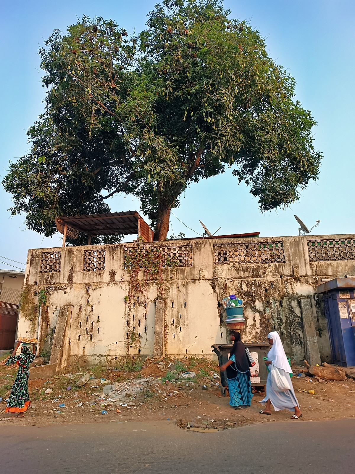 Klicke auf die Grafik für eine vergrößerte Ansicht  Name: IMG_20240630_174234_736R.jpg Ansichten: 0 Größe: 931,0 KB ID: 3362660