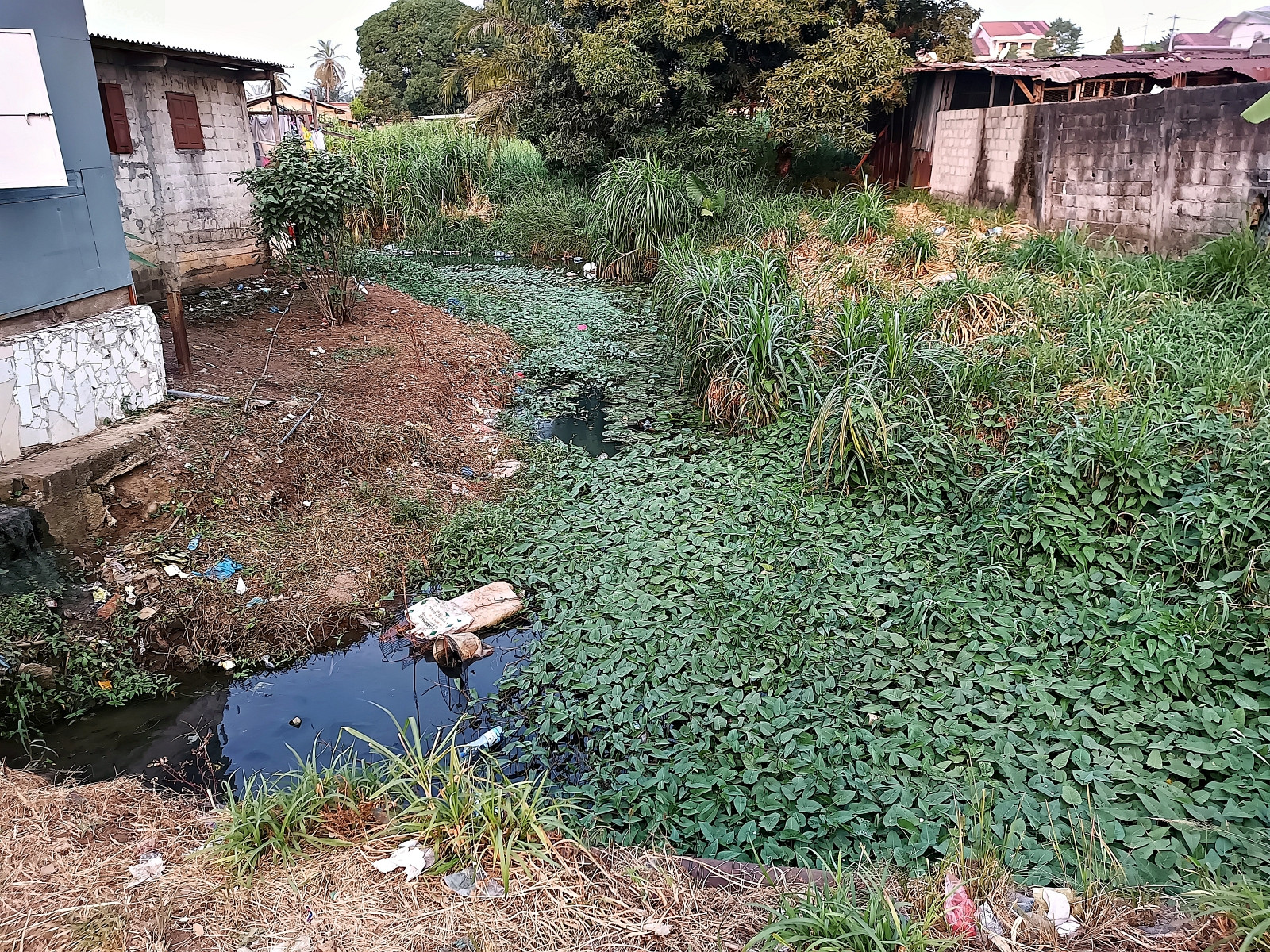 Klicke auf die Grafik für eine vergrößerte Ansicht  Name: IMG_20240630_174535_995R.jpg Ansichten: 0 Größe: 1,36 MB ID: 3362665