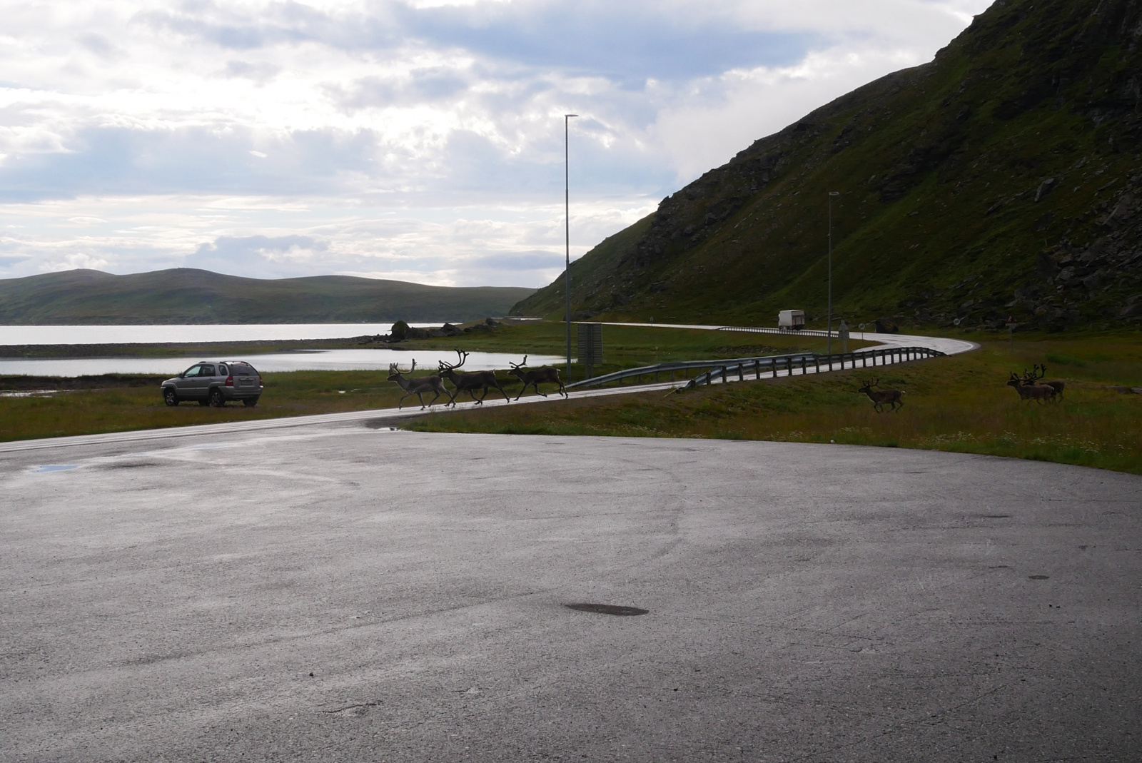 Klicke auf die Grafik für eine vergrößerte Ansicht

Name: P1040319begr.jpg
Ansichten: 25
Größe: 621,2 KB
ID: 3362899