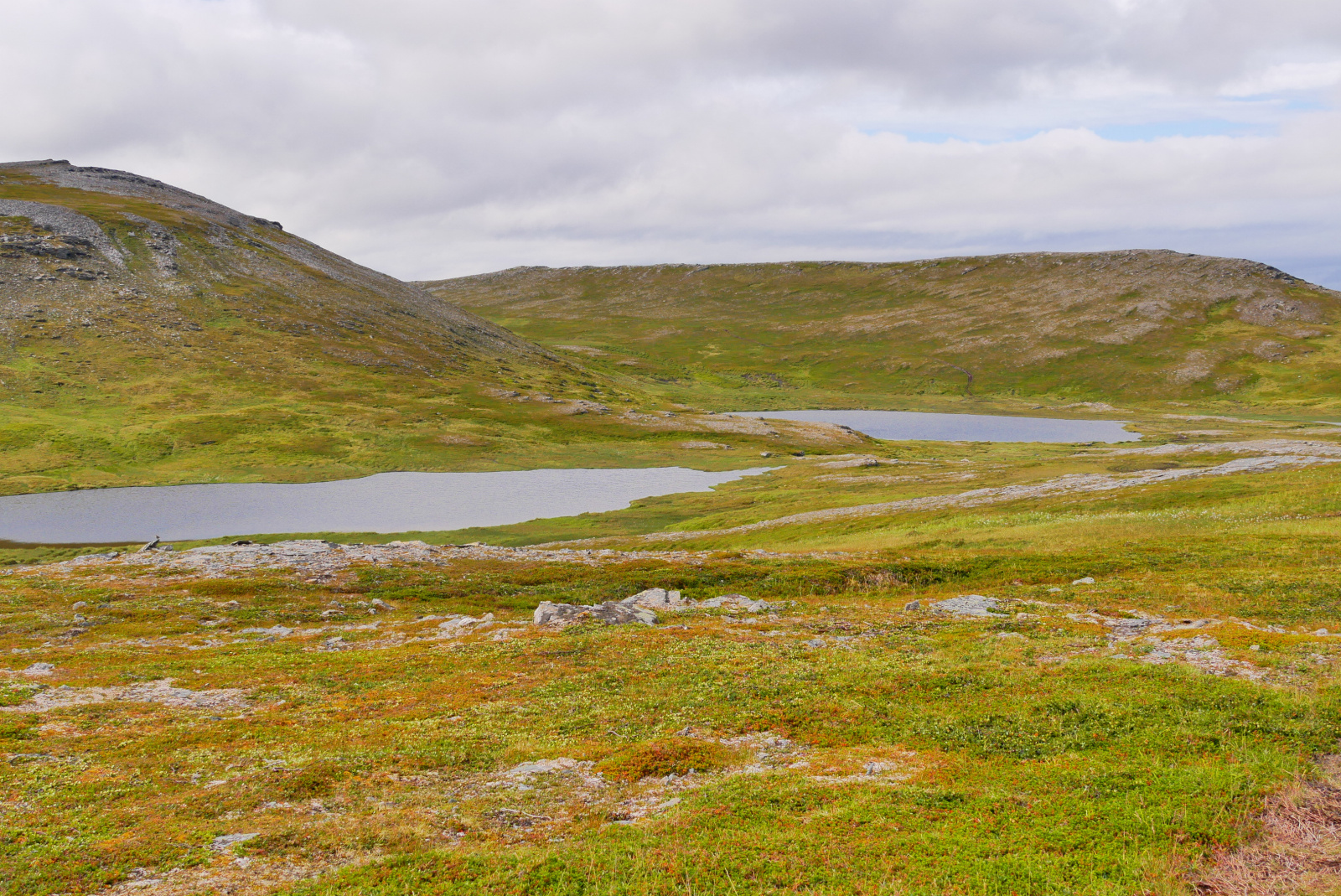 Klicke auf die Grafik für eine vergrößerte Ansicht

Name: P1040325.jpg
Ansichten: 24
Größe: 1,12 MB
ID: 3362906