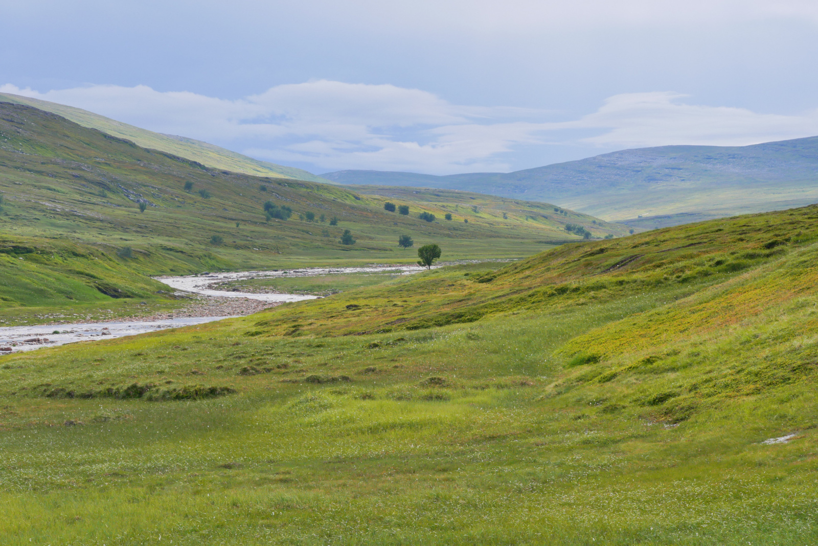 Klicke auf die Grafik für eine vergrößerte Ansicht

Name: P1040332.jpg
Ansichten: 22
Größe: 885,0 KB
ID: 3362910