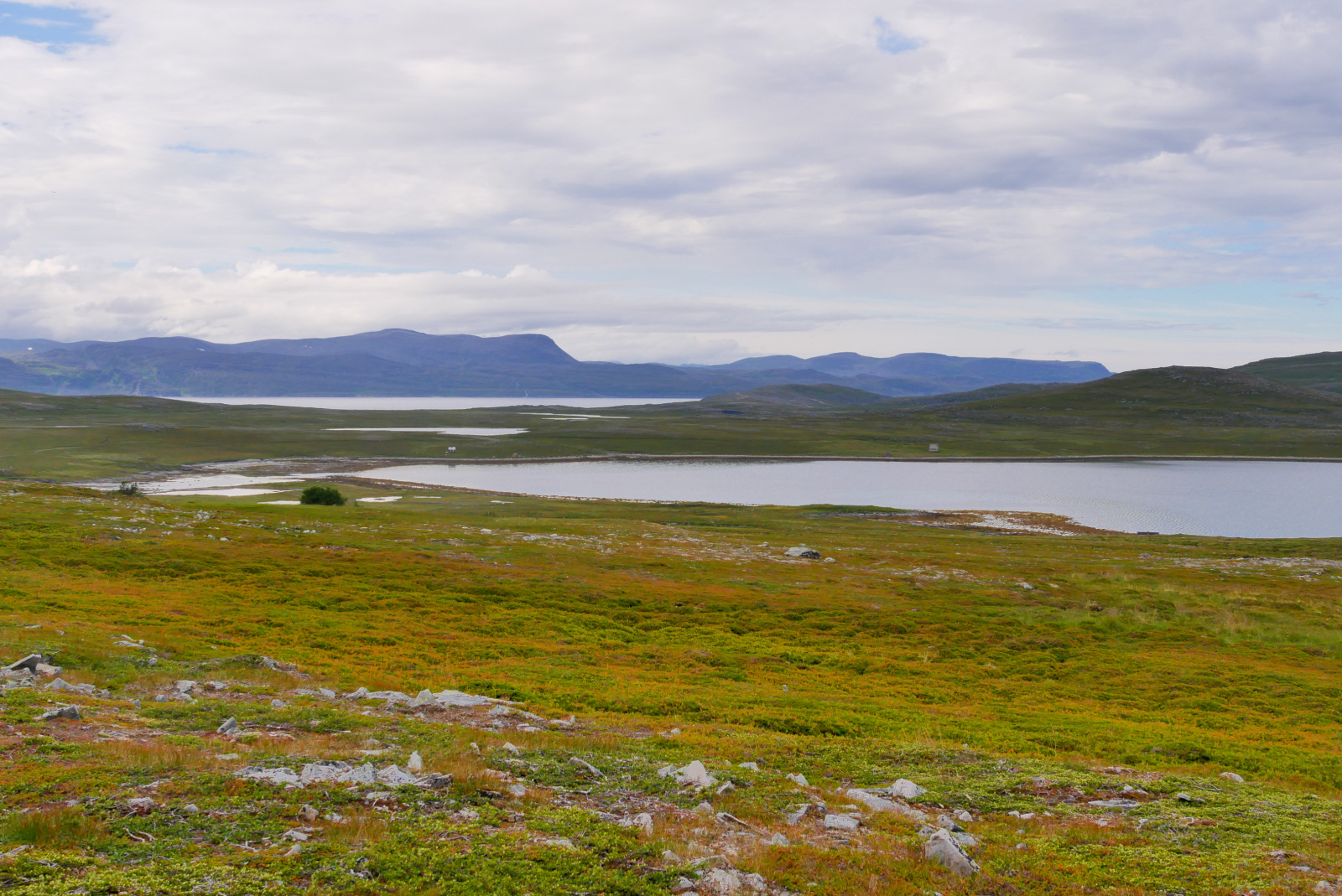 Klicke auf die Grafik für eine vergrößerte Ansicht

Name: P1040336.jpg
Ansichten: 21
Größe: 848,3 KB
ID: 3362913