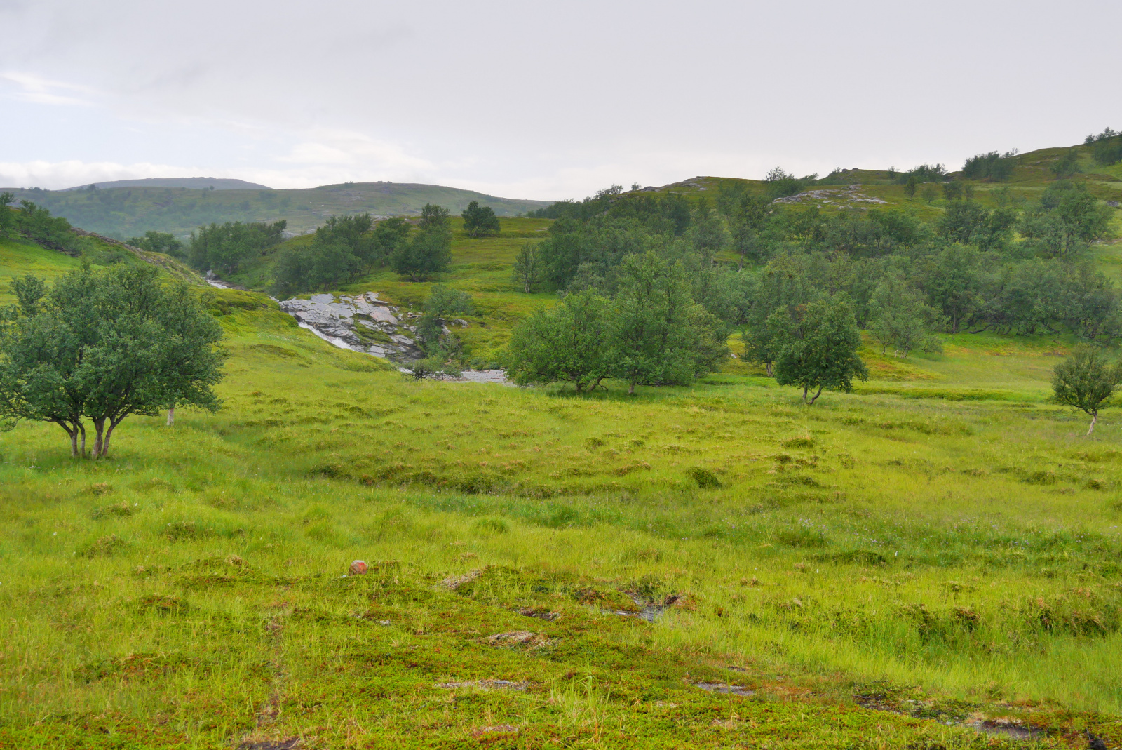 Klicke auf die Grafik für eine vergrößerte Ansicht

Name: P1040343.jpg
Ansichten: 21
Größe: 1.008,1 KB
ID: 3362918