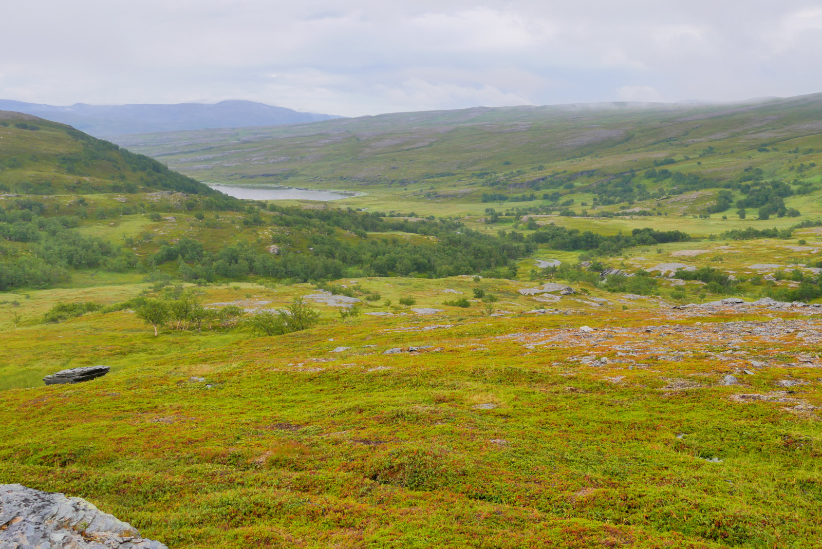 Klicke auf die Grafik für eine vergrößerte Ansicht

Name: P1040344.jpg
Ansichten: 21
Größe: 1,11 MB
ID: 3362919