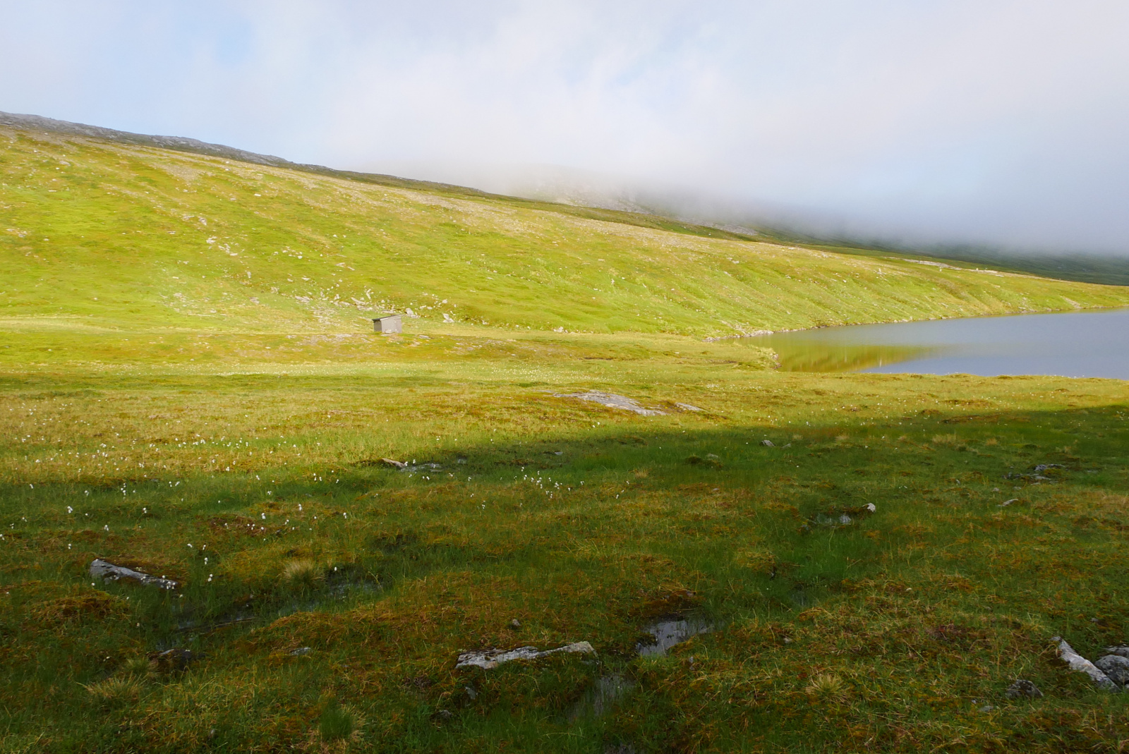 Klicke auf die Grafik für eine vergrößerte Ansicht

Name: P1040349.jpg
Ansichten: 20
Größe: 790,2 KB
ID: 3362924