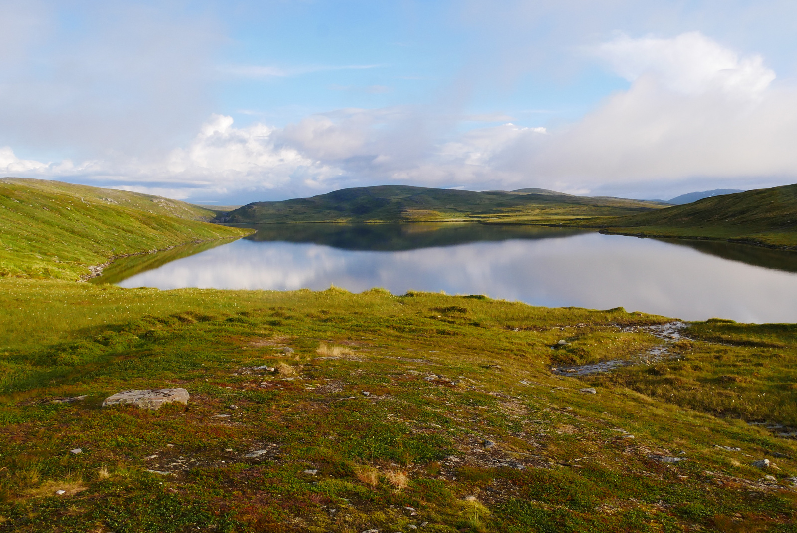 Klicke auf die Grafik für eine vergrößerte Ansicht

Name: P1040350.jpg
Ansichten: 19
Größe: 868,4 KB
ID: 3362926