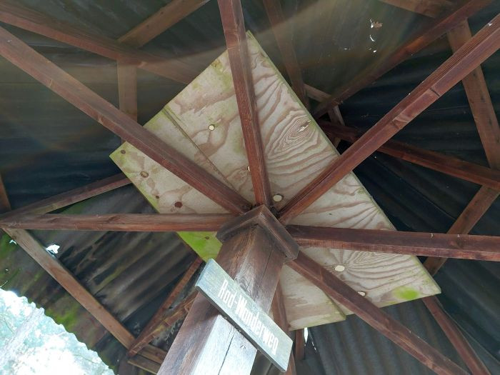 Klicke auf die Grafik für eine vergrößerte Ansicht

Name: 20260121_095112a.jpg
Ansichten: 4
Größe: 95,3 KB
ID: 3362950