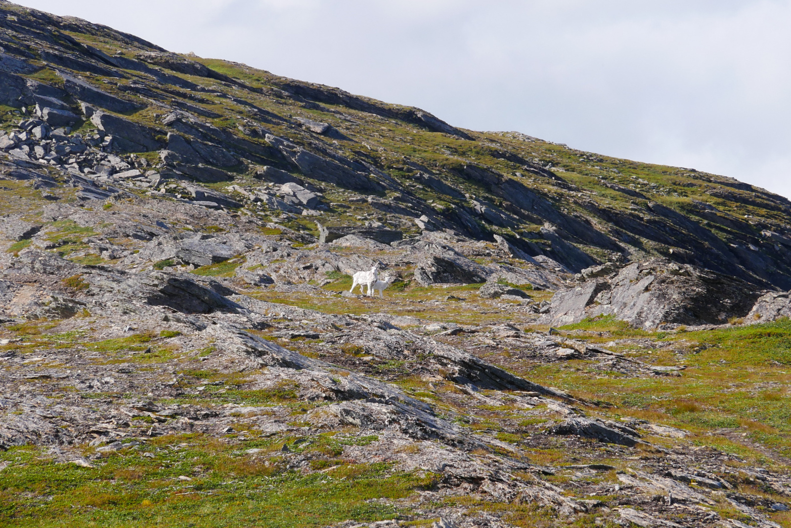 Klicke auf die Grafik für eine vergrößerte Ansicht

Name: P1040359.jpg
Ansichten: 0
Größe: 1,11 MB
ID: 3362969