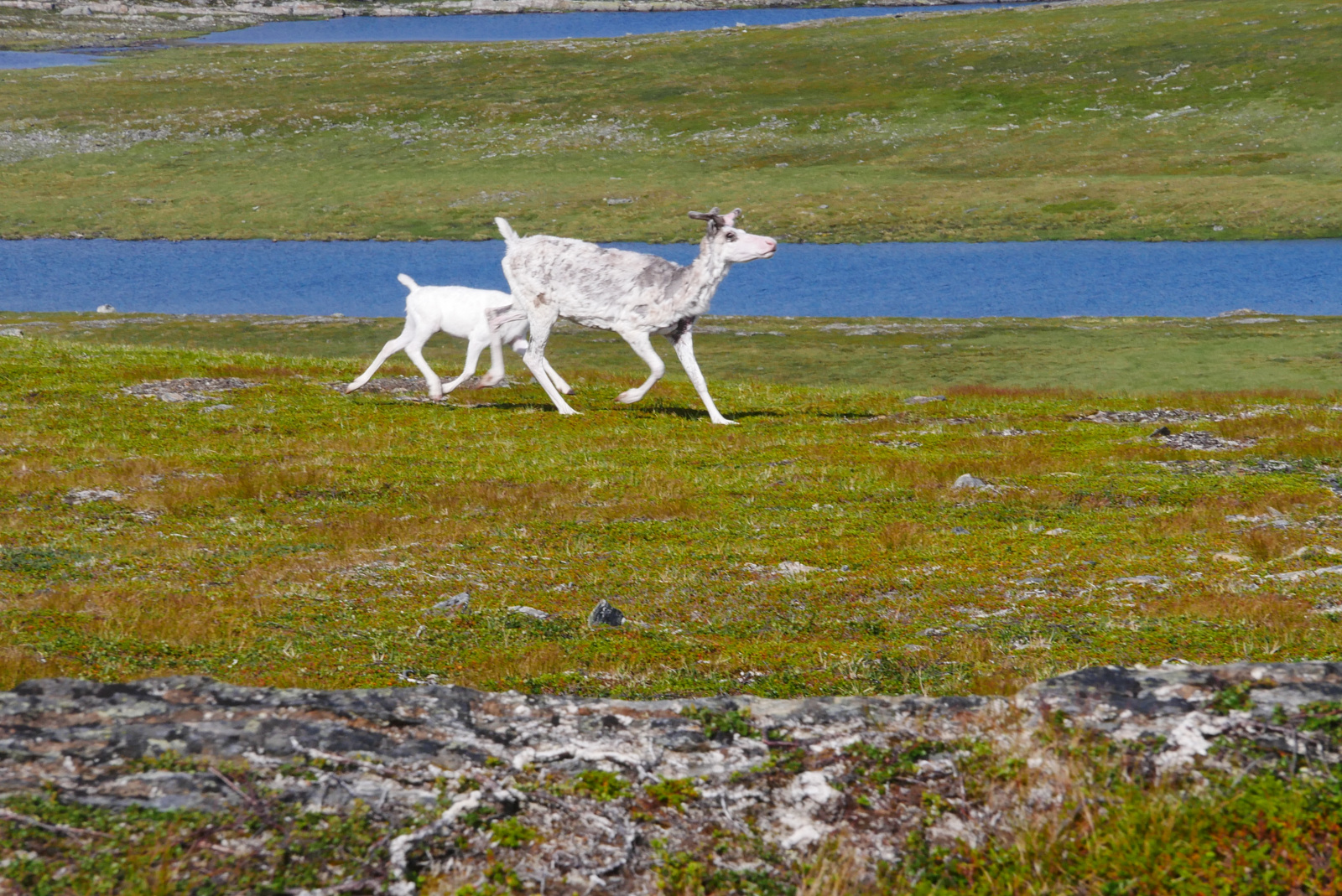 Klicke auf die Grafik für eine vergrößerte Ansicht

Name: P1040361.jpg
Ansichten: 0
Größe: 1.017,0 KB
ID: 3362971