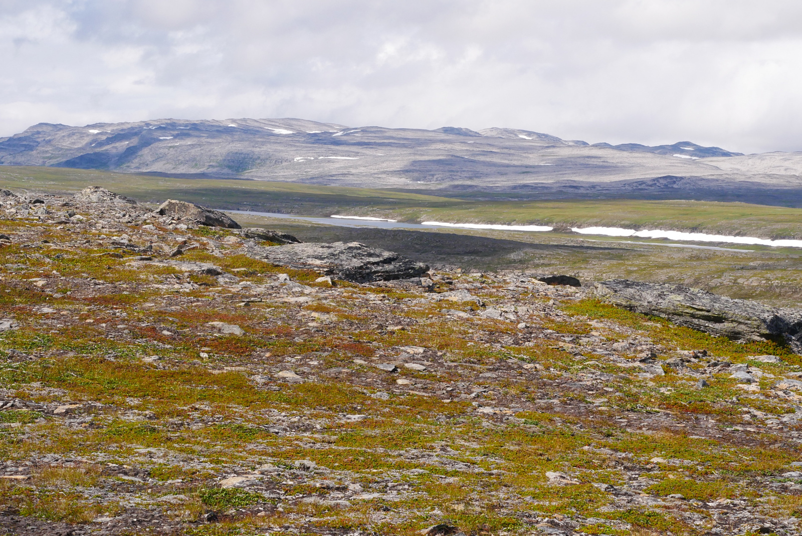 Klicke auf die Grafik für eine vergrößerte Ansicht

Name: P1040364.jpg
Ansichten: 0
Größe: 1,10 MB
ID: 3362973