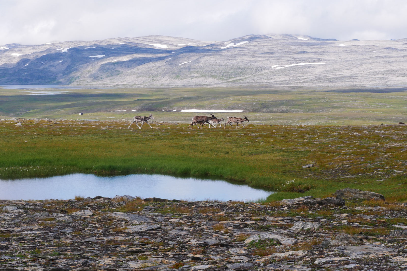 Klicke auf die Grafik für eine vergrößerte Ansicht

Name: P1040367.jpg
Ansichten: 0
Größe: 831,3 KB
ID: 3362975