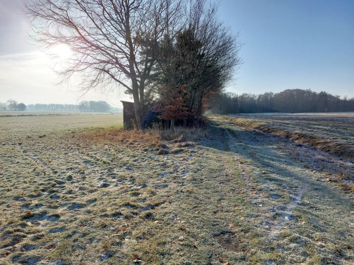 Klicke auf die Grafik für eine vergrößerte Ansicht

Name: 20260121_101901a.jpg
Ansichten: 0
Größe: 175,9 KB
ID: 3362998