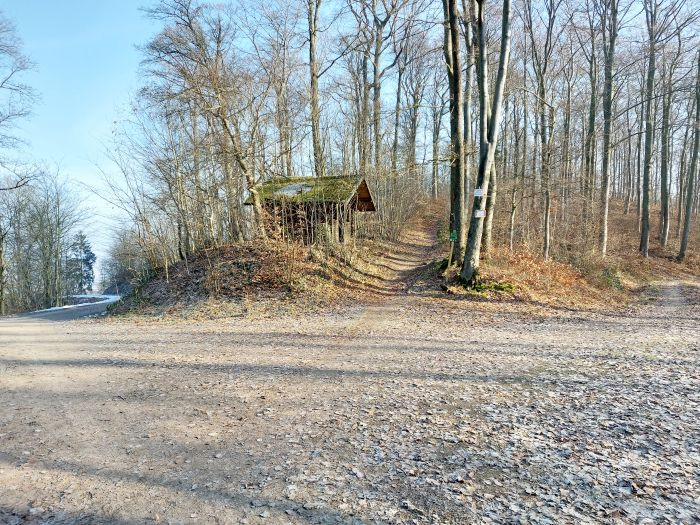 Klicke auf die Grafik für eine vergrößerte Ansicht  Name: 20260122_121635a.jpg Ansichten: 0 Größe: 217,5 KB ID: 3363016