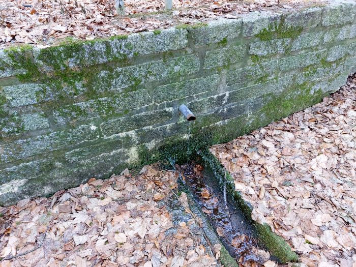 Klicke auf die Grafik für eine vergrößerte Ansicht

Name: 20260122_125905a.jpg
Ansichten: 0
Größe: 231,2 KB
ID: 3363024