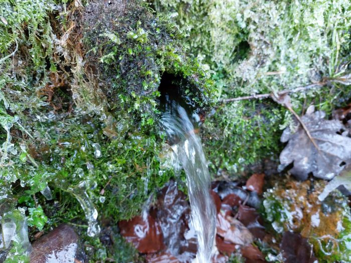 Klicke auf die Grafik für eine vergrößerte Ansicht

Name: 20260122_145602a.jpg
Ansichten: 0
Größe: 187,9 KB
ID: 3363035