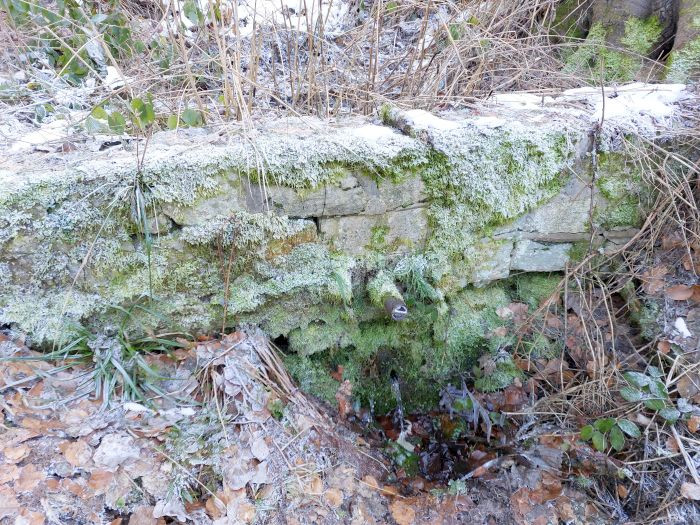 Klicke auf die Grafik für eine vergrößerte Ansicht

Name: 20260122_145557a.jpg
Ansichten: 0
Größe: 222,6 KB
ID: 3363036