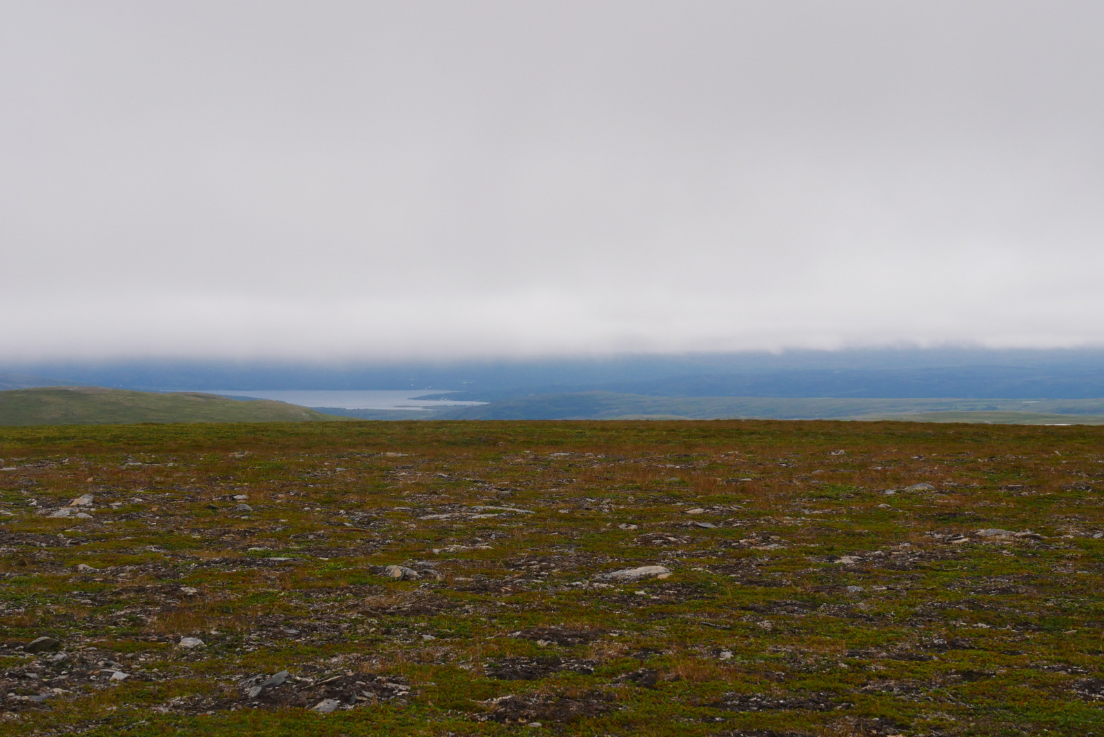 Klicke auf die Grafik für eine vergrößerte Ansicht  Name: P1040377.jpg Ansichten: 0 Größe: 635,3 KB ID: 3363053