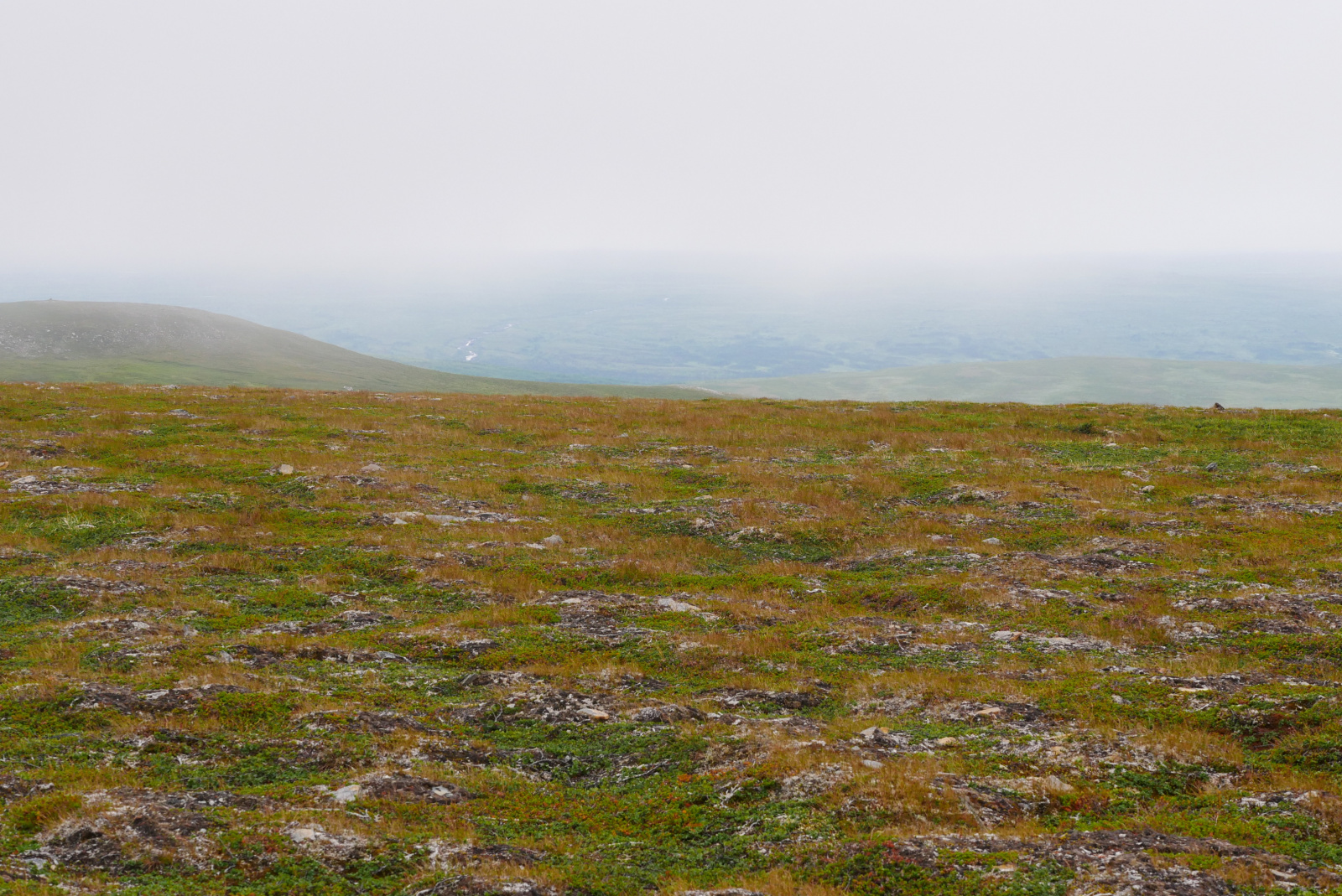 Klicke auf die Grafik für eine vergrößerte Ansicht  Name: P1040378.jpg Ansichten: 0 Größe: 877,6 KB ID: 3363054