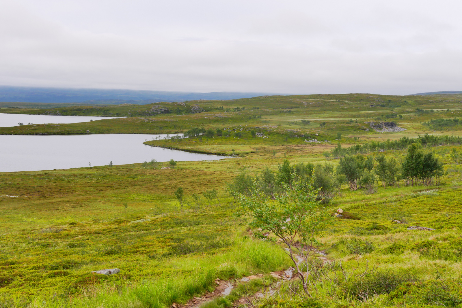 Klicke auf die Grafik für eine vergrößerte Ansicht  Name: P1040383.jpg Ansichten: 0 Größe: 943,5 KB ID: 3363057