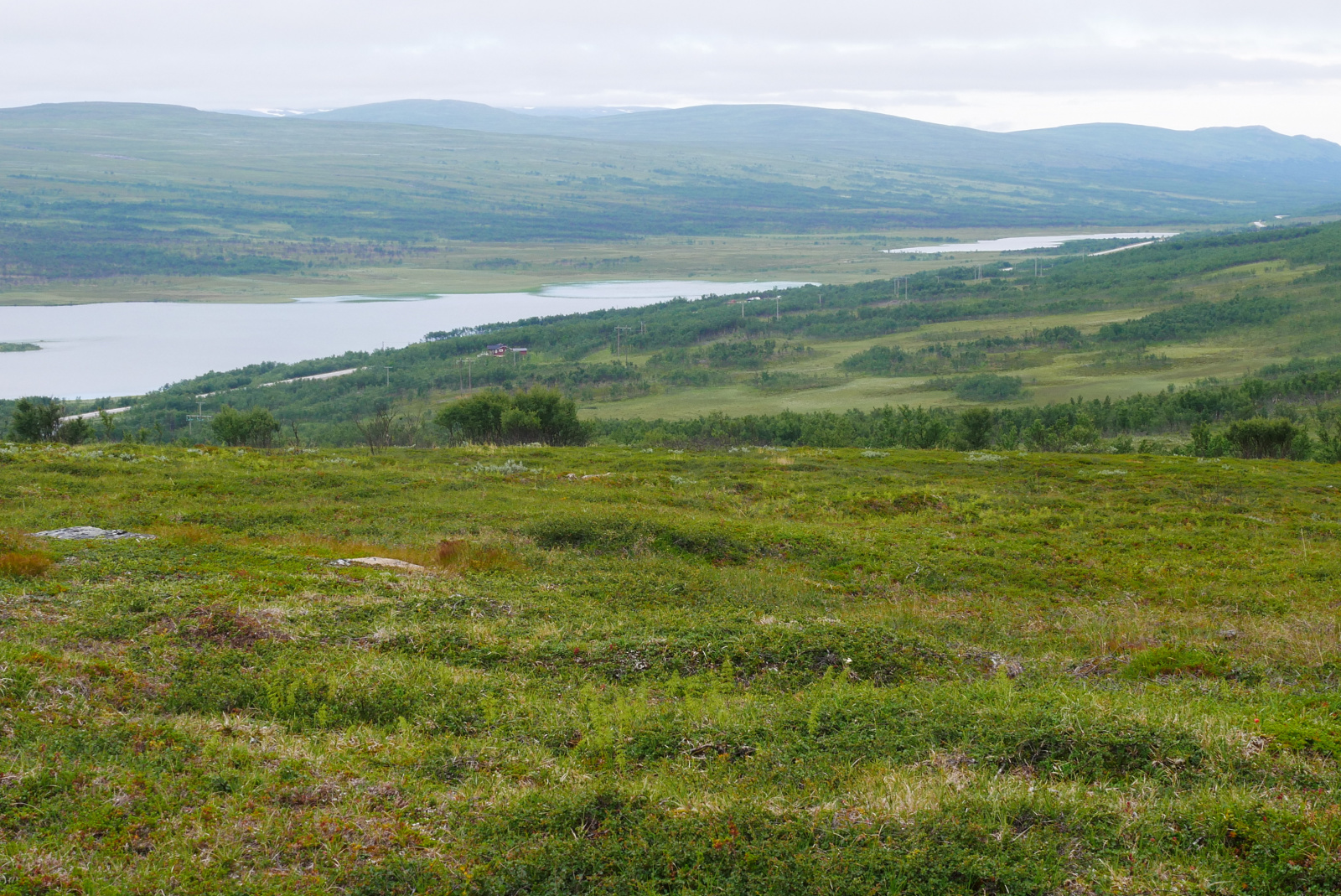 Klicke auf die Grafik für eine vergrößerte Ansicht  Name: P1040388.jpg Ansichten: 0 Größe: 1.004,9 KB ID: 3363059