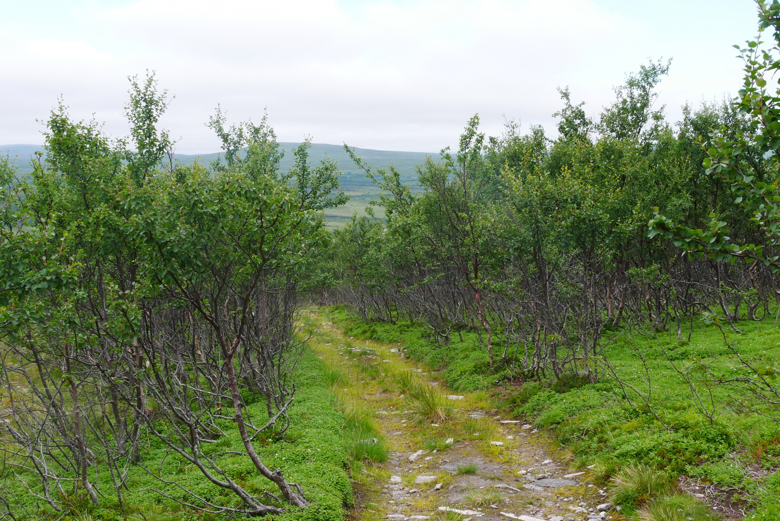 Klicke auf die Grafik für eine vergrößerte Ansicht  Name: P1040389.jpg Ansichten: 0 Größe: 1,16 MB ID: 3363060