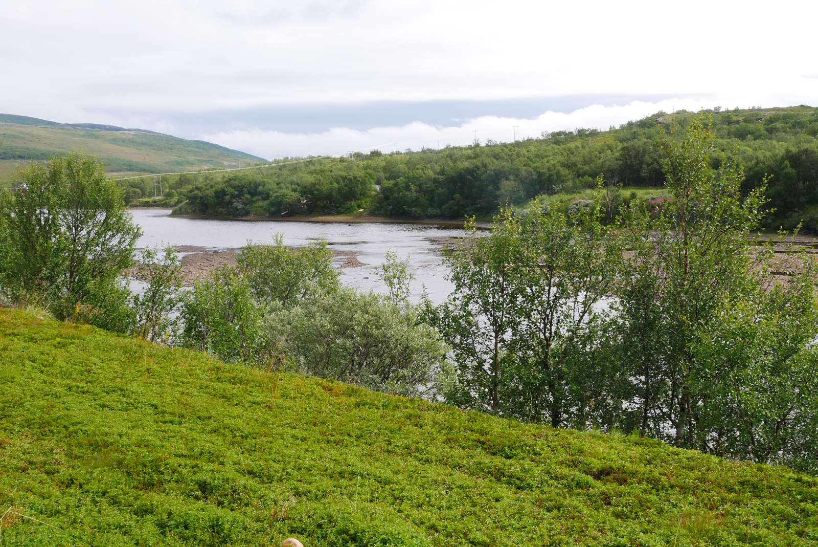 Klicke auf die Grafik für eine vergrößerte Ansicht  Name: P1040393.jpg Ansichten: 0 Größe: 1,17 MB ID: 3363061