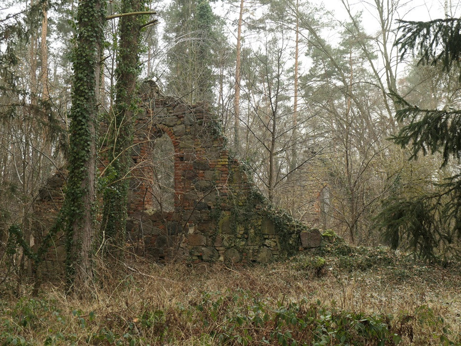 Klicke auf die Grafik für eine vergrößerte Ansicht

Name: Suckow-Wueste-Kirche (1).jpg
Ansichten: 80
Größe: 380,8 KB
ID: 3363091