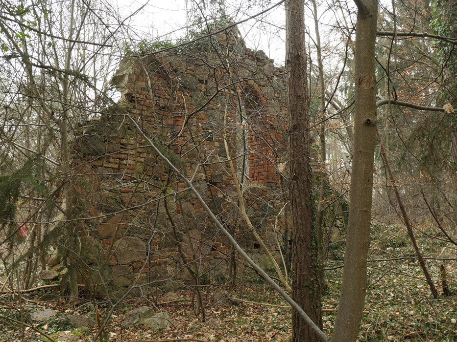 Klicke auf die Grafik für eine vergrößerte Ansicht

Name: Suckow-Wueste-Kirche (2).jpg
Ansichten: 80
Größe: 382,6 KB
ID: 3363092