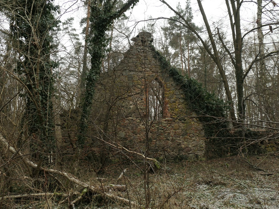 Klicke auf die Grafik für eine vergrößerte Ansicht

Name: Suckow-Wueste-Kirche (3).jpg
Ansichten: 80
Größe: 372,4 KB
ID: 3363093